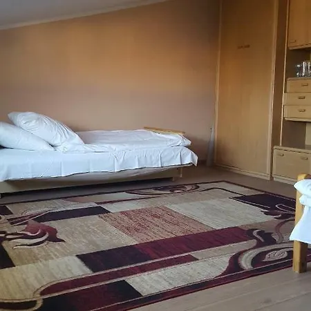 Wiola Apartment Zelistrzewo